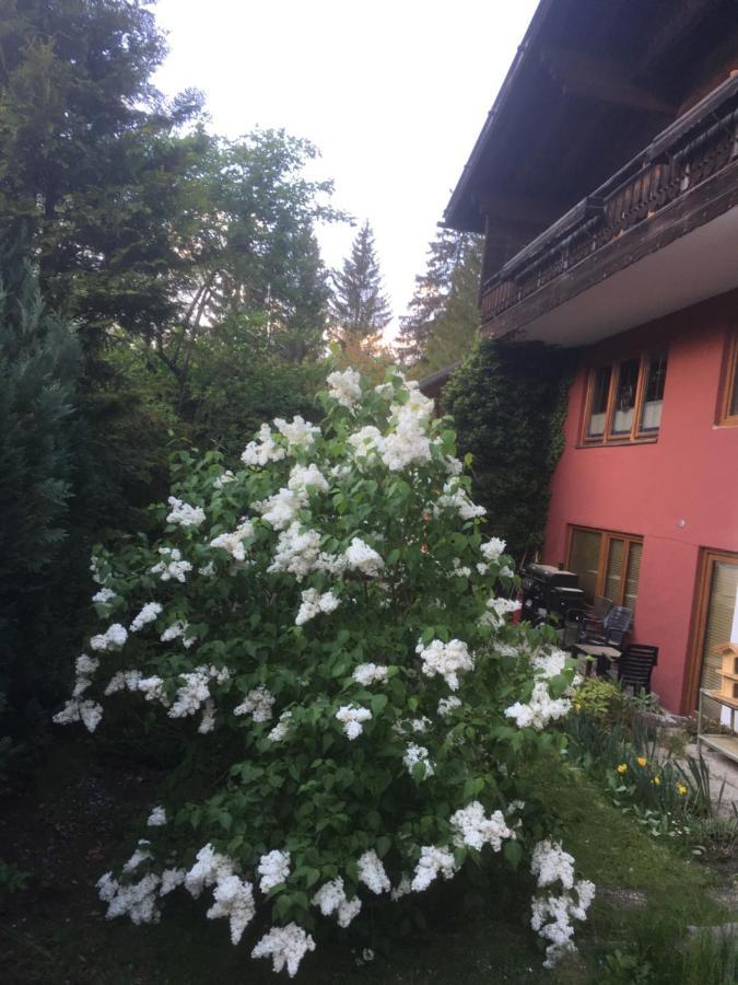 Ferienhaus Wieswald Ehrwald Bagian luar foto
