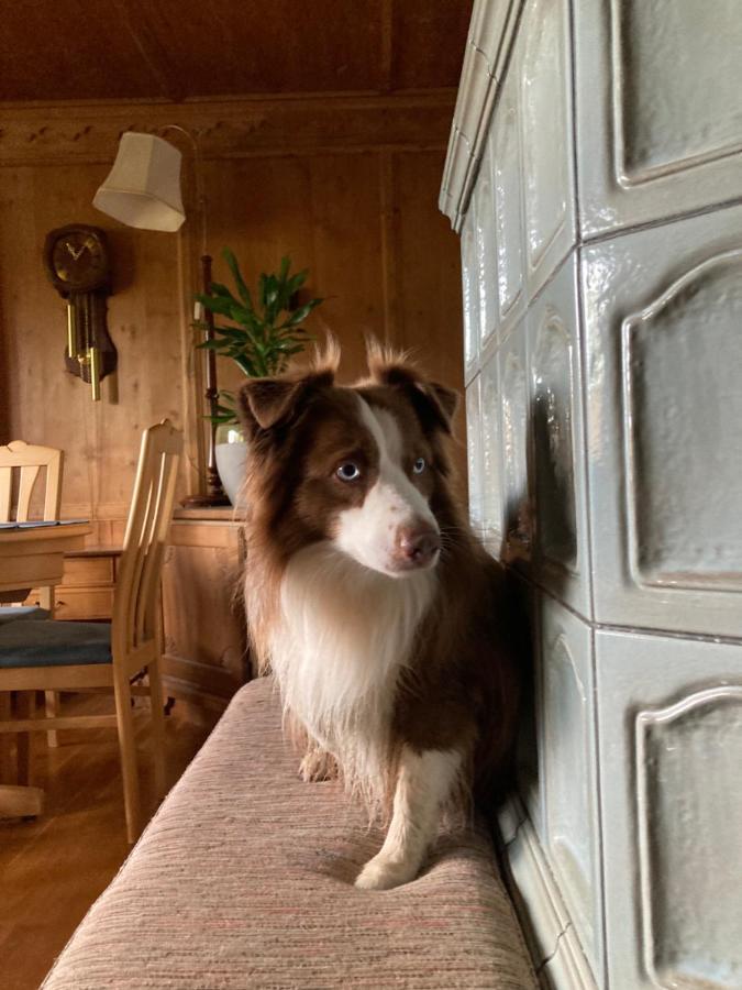 Ferienhaus Wieswald Ehrwald Bagian luar foto